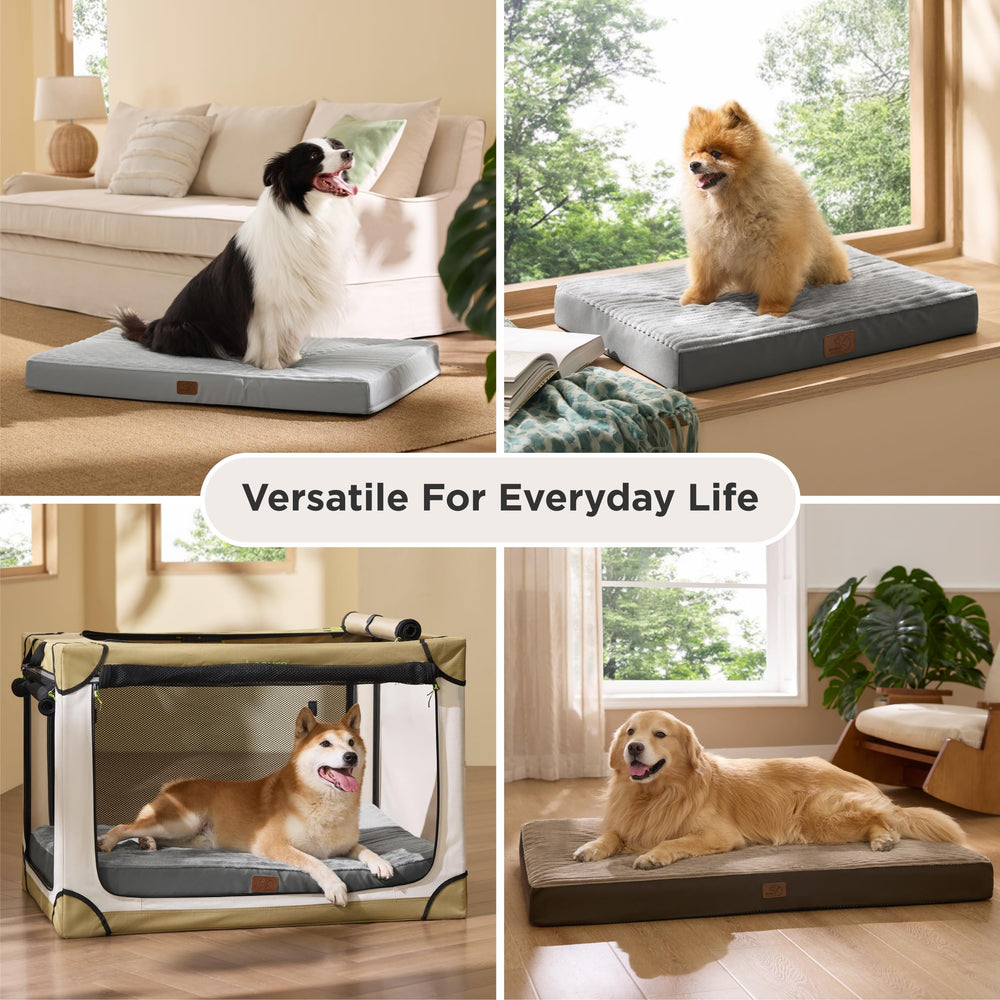 Bedsure dog bed medium in living room blending with decor and cozy comfort