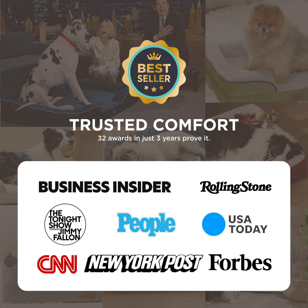 Bedsure dog bed waterproof cover removable protects foam from spills