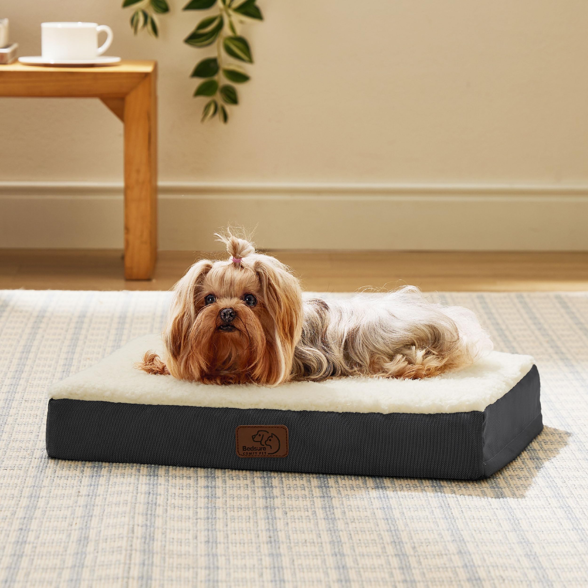 Bedsure XS small-pet nap time setup for a cozy resting spot