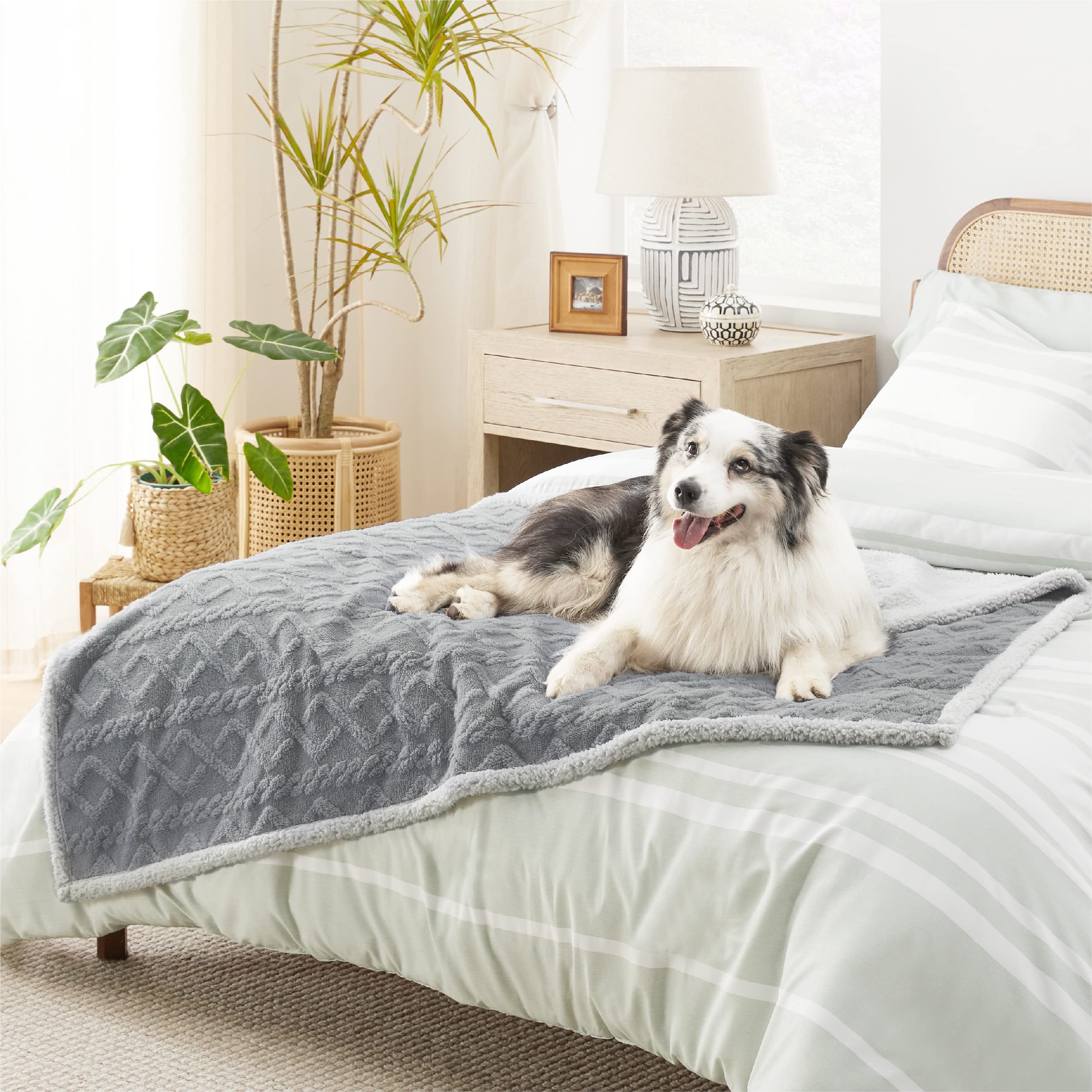 Bedsure dog blanket easy clean machine wash illustration of care steps