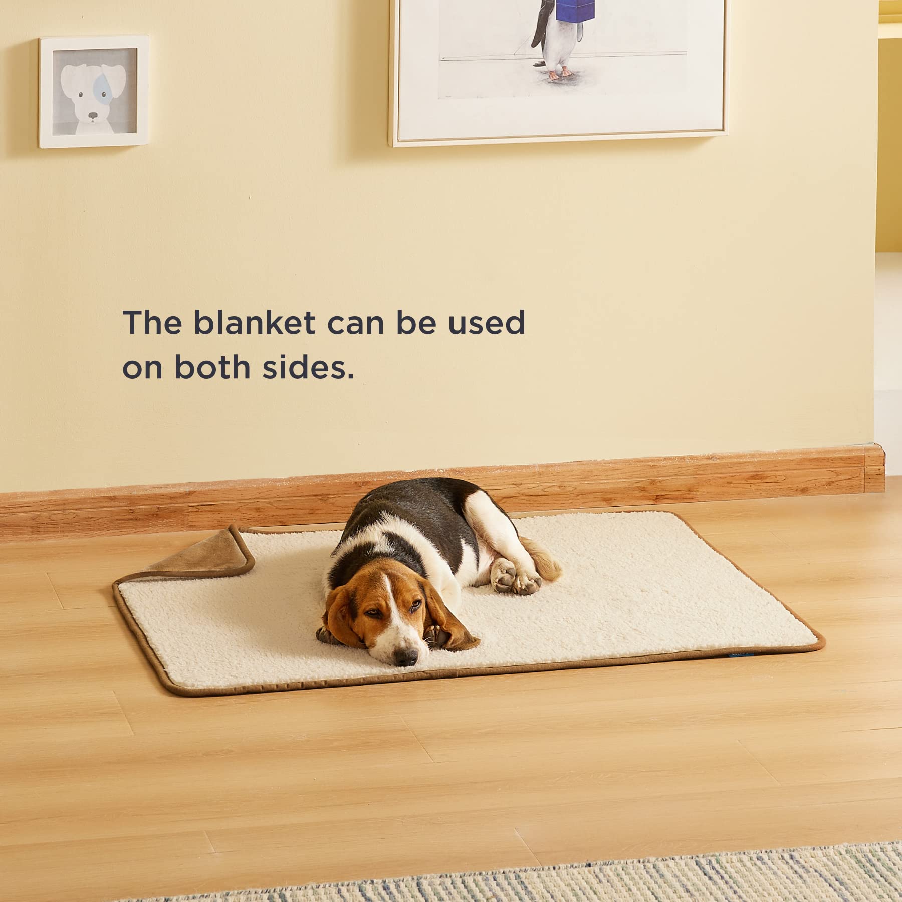 Bedsure light and portable dog blanket set for travel