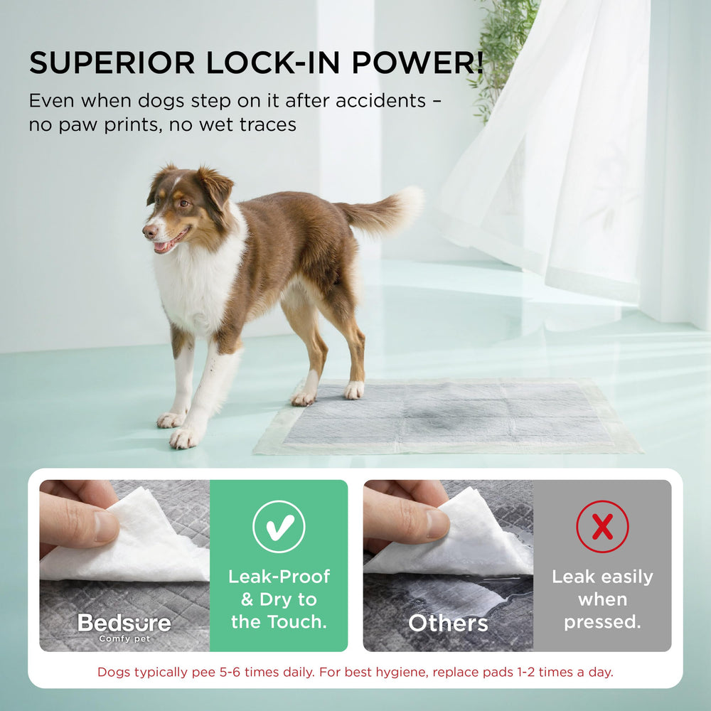 Bedsure activated carbon odor-control layer image highlighting fresher home environment
