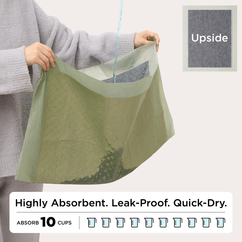 Bedsure quick-dry layer illustration demonstrating rapid absorption for mess-free training