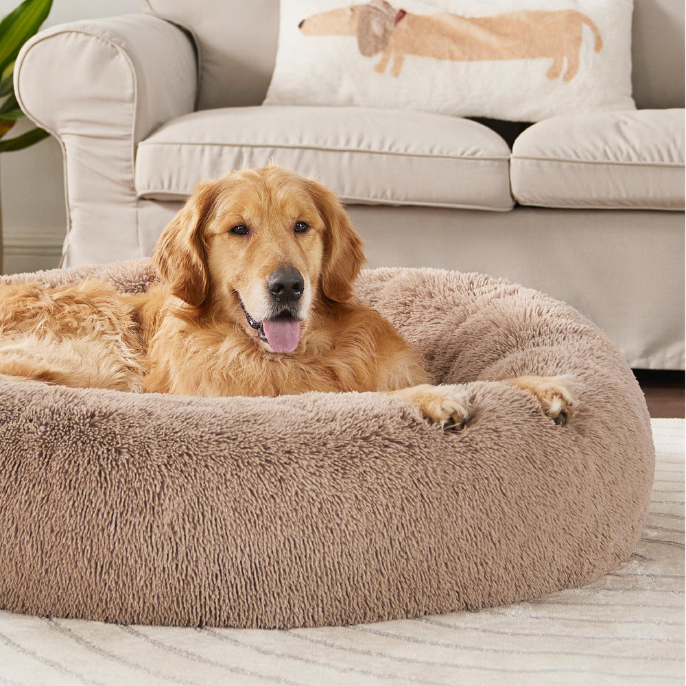 Bedsure donut bed non-slip base keeps it in place during playful naps