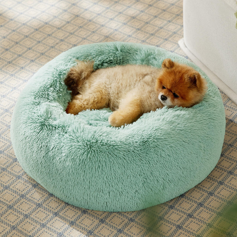 Bedsure donut bed in apple green delivers pet-safe comfort with a calming nap space