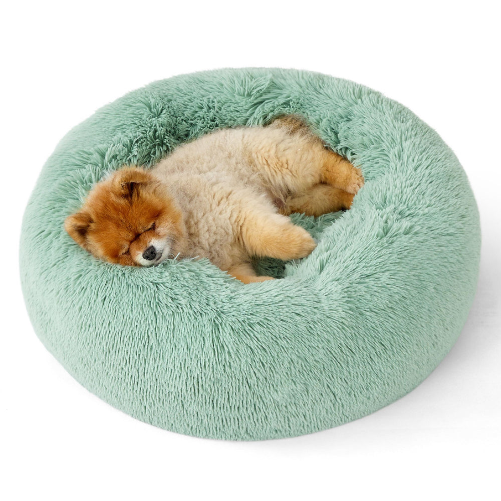 Bedsure donut dog bed in apple green offers a cozy curl-up space for small dogs