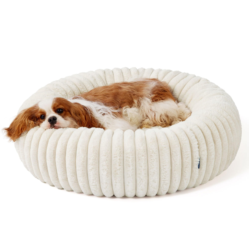 Bedsure Donut Medium Dog Bed in living room complements décor while inviting lounging