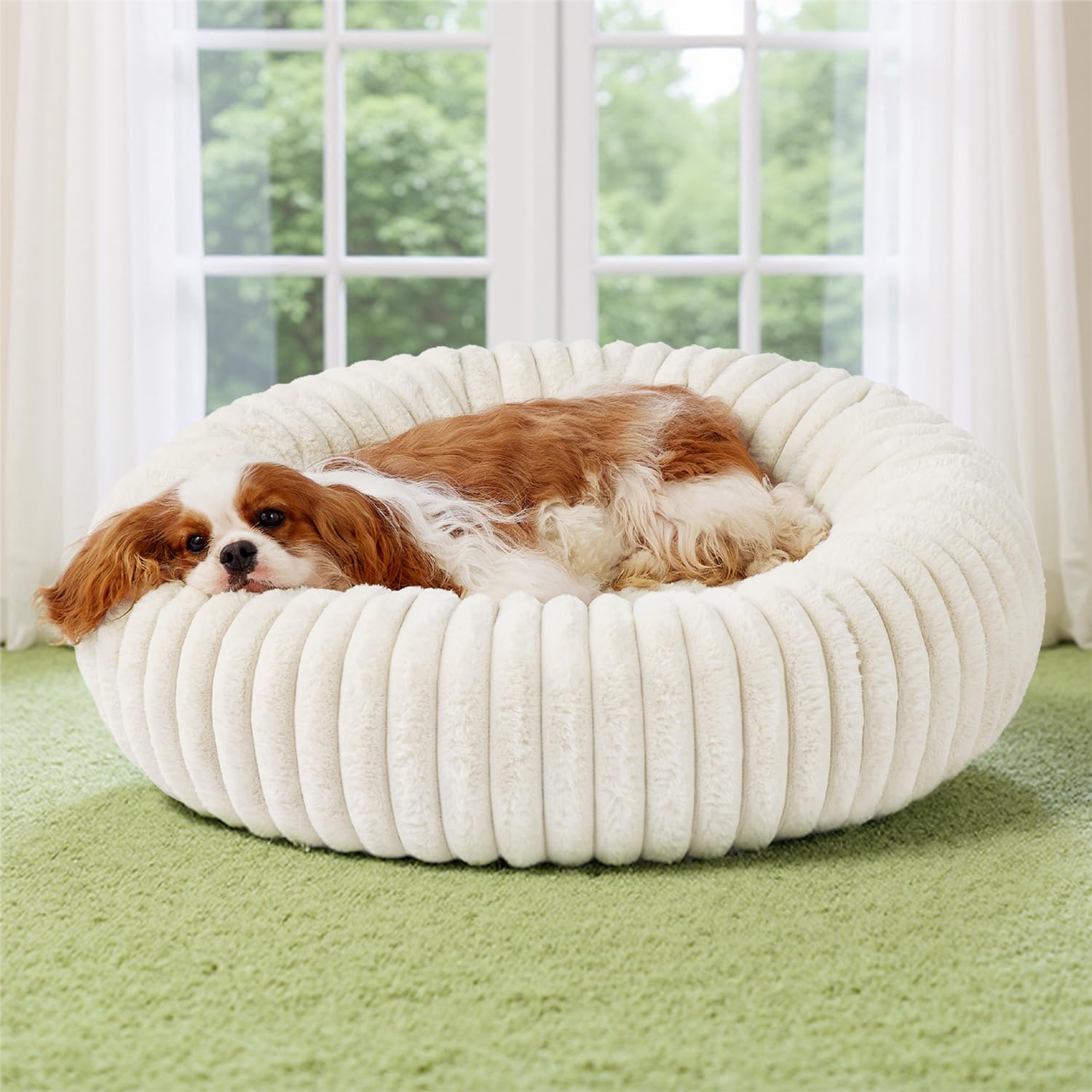 Bedsure Donut Medium Dog Bed top view shows plush lounging surface