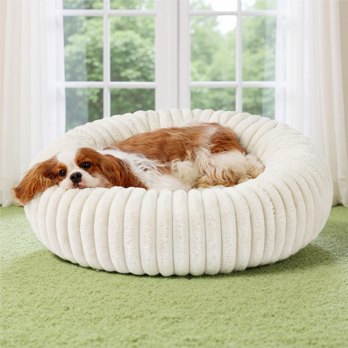 Bedsure Donut Medium Dog Bed top view shows plush lounging surface