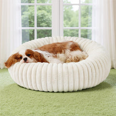 Bedsure Donut Medium Dog Bed top view shows plush lounging surface