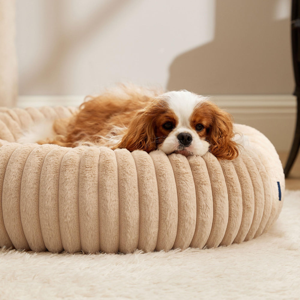 Bedsure donut-shaped round bed provides secure, nest-like comfort for cozy lounging.