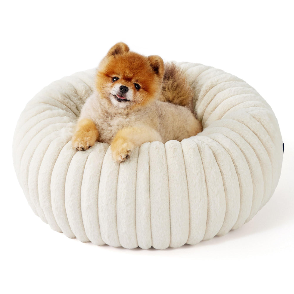 Bedsure dog using bed illustrating a comfortable lounging moment