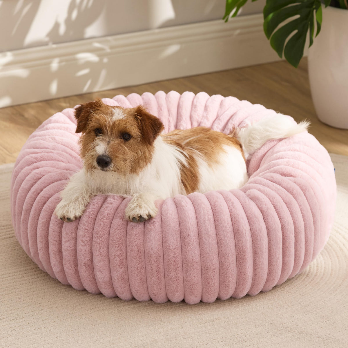 Bedsure Donut Small Dog Bed front view showing cozy corduroy fleece for relaxing naps