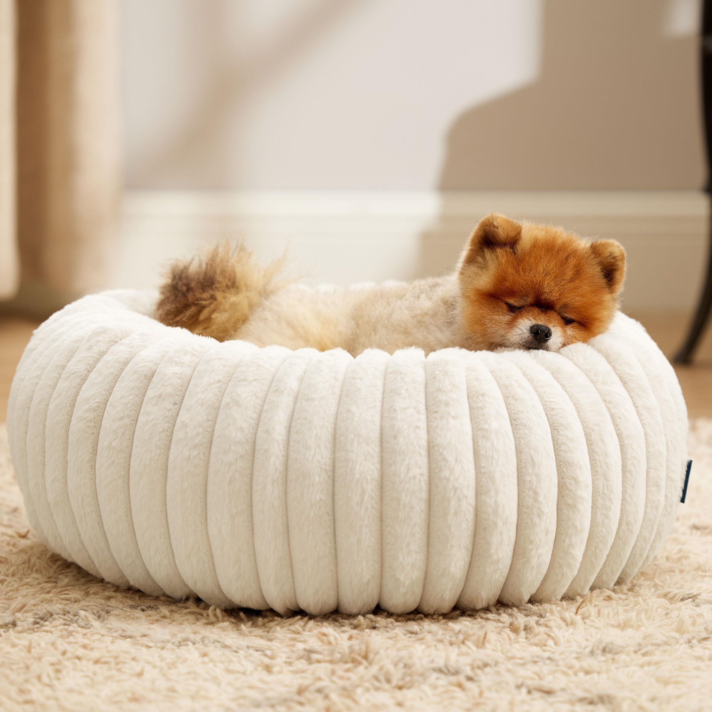 Bedsure living room setup shows this bed as a stylish home accessory