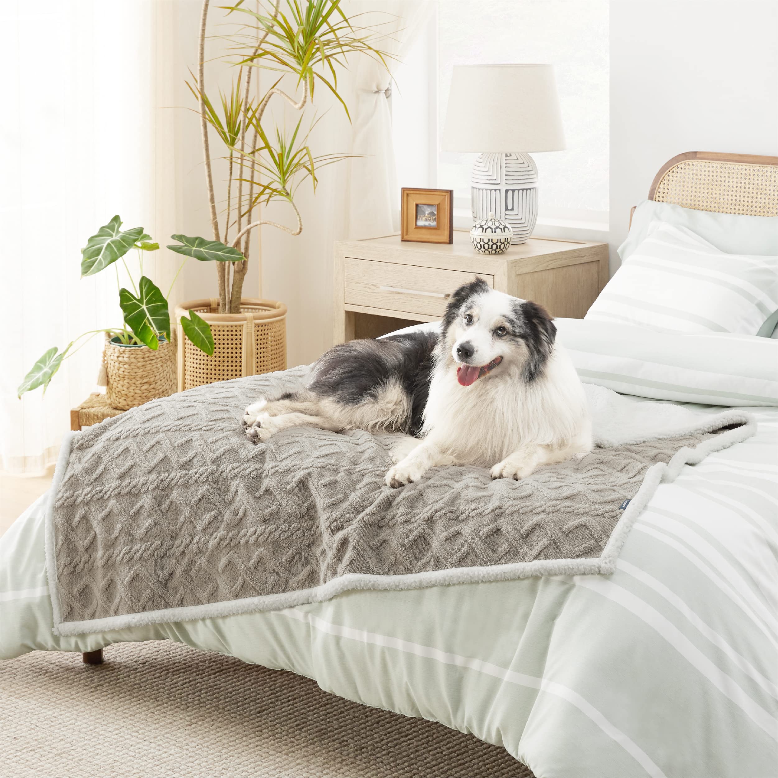 Bedsure easy care washables pet blanket — Machine washable and quick-dry.