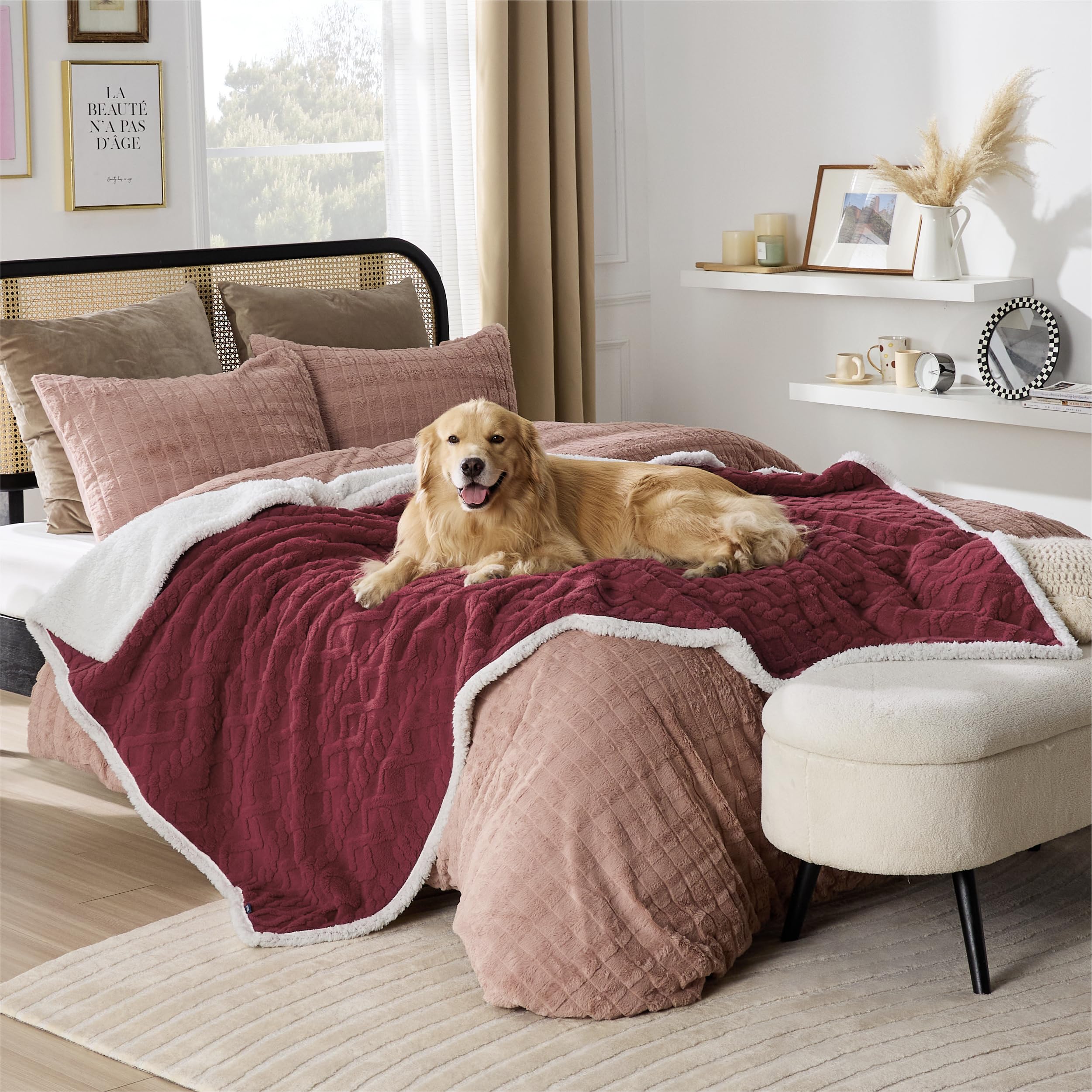 Bedsure 60x80 size delivers generous coverage for large dogs and shared furniture.