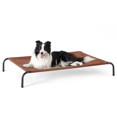 Bedsure elevated cooling cot for large dogs with terracotta frame and breathable mesh outdoors
