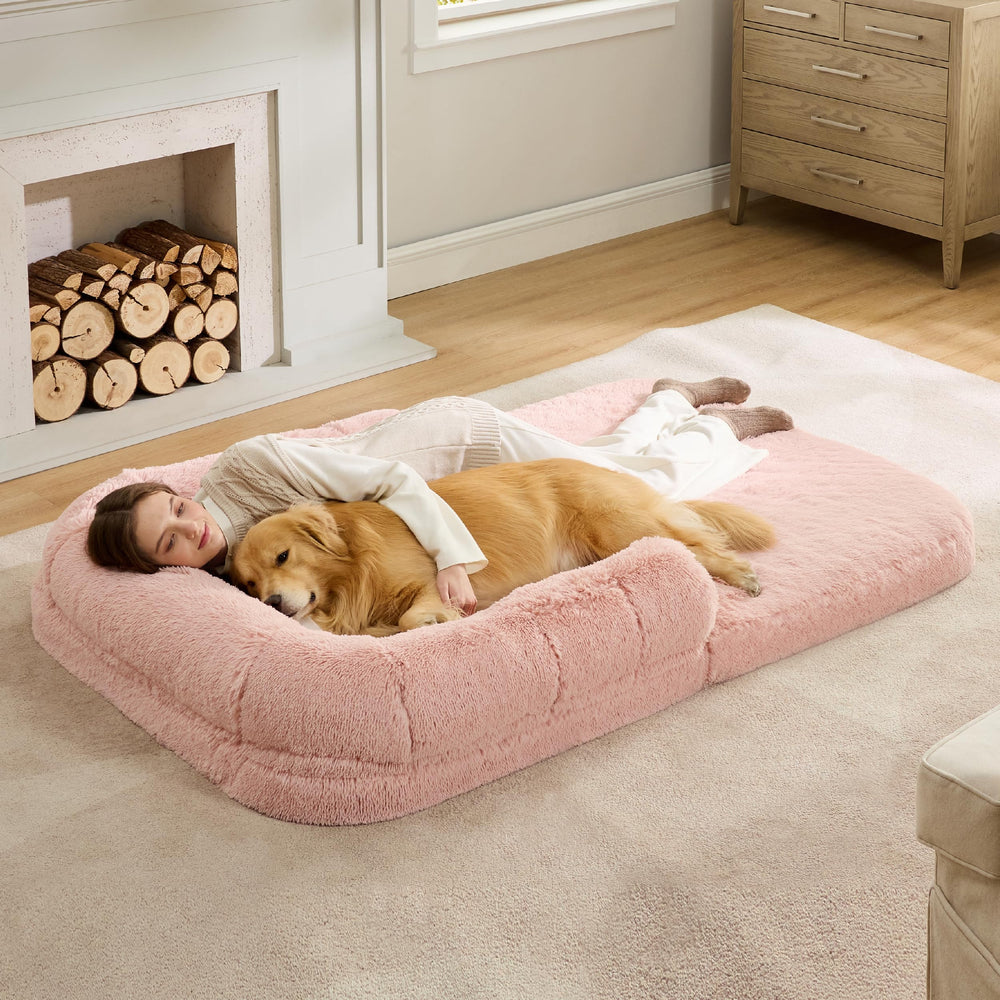Bedsure foldable human dog bed in living room for cozy family lounging.