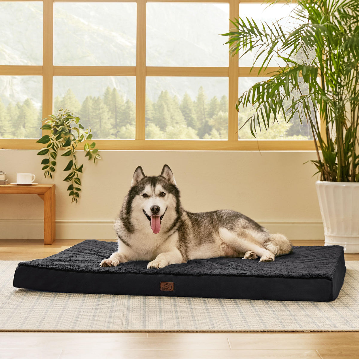 Bedsure giant dog bed 54x44 with orthopedic egg crate foam providing joint support.