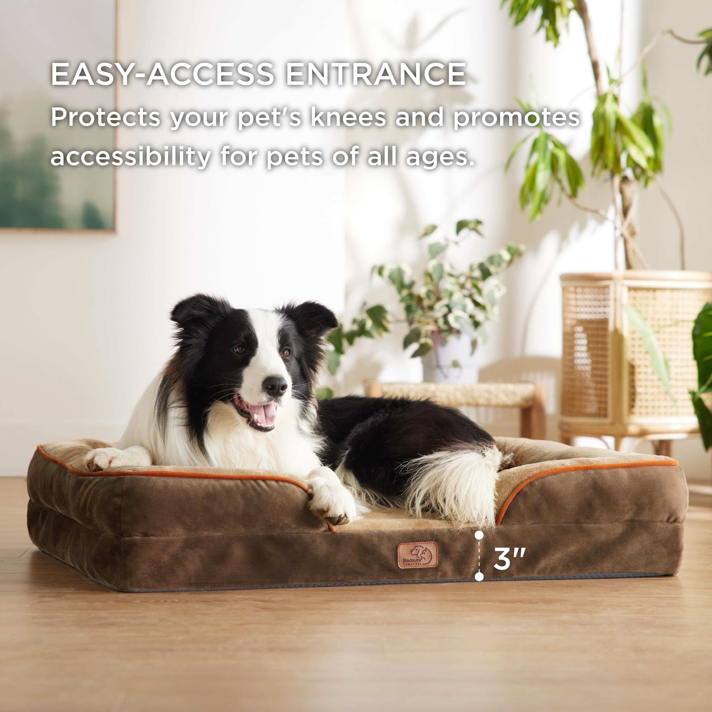 Bedsure L Plus lowered entrance helps large dogs enter with ease.