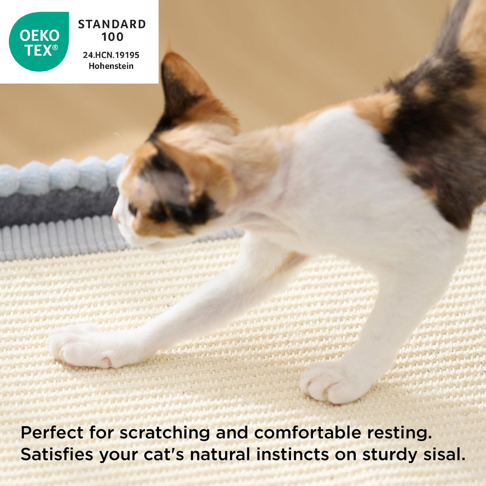 Bedsure large cat bed indoor multi-cat-space for shared lounging and play.