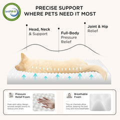 Bedsure large dog bed removable cover simplifies cleaning and quick wardrobe changes