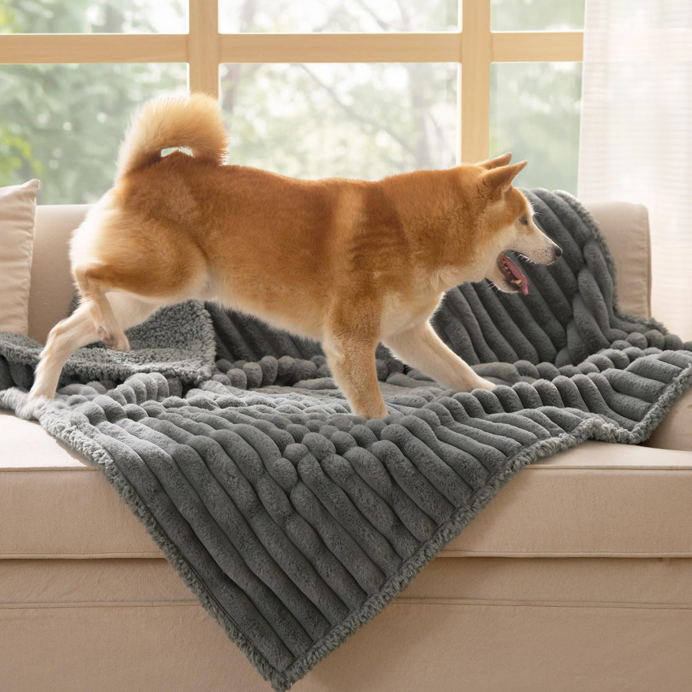 Bedsure large dog blanket 40x50 inch size fits couches and beds.