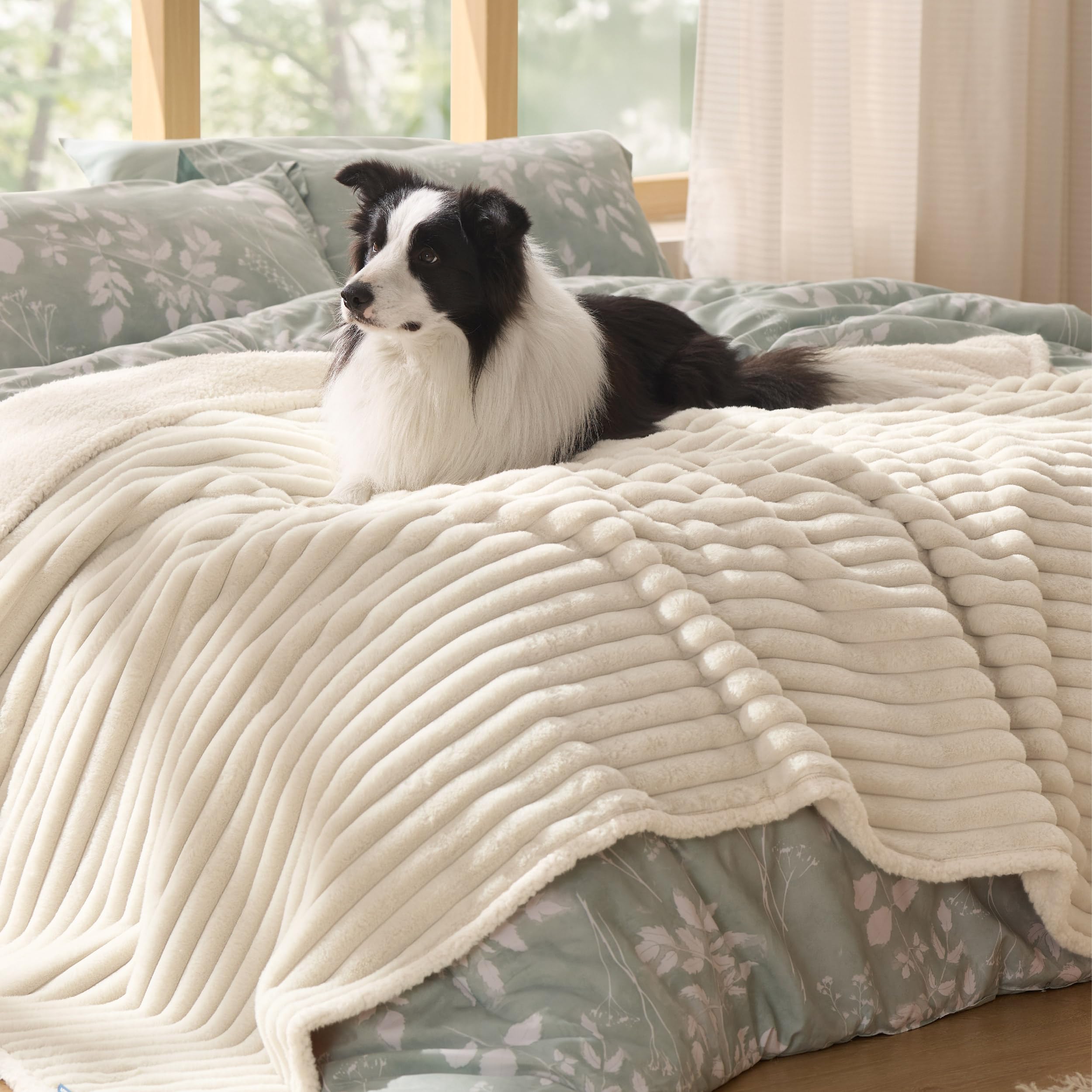 Bedsure large-dog friendly blanket sized 50x60 supports comfortable lounging.