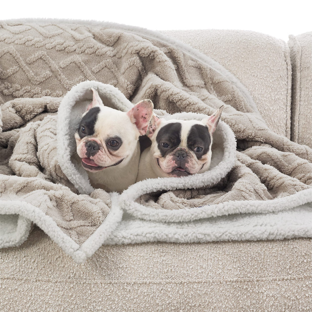 Bedsure large dog blanket Pale Oak — Comfort and protection on couches and beds.