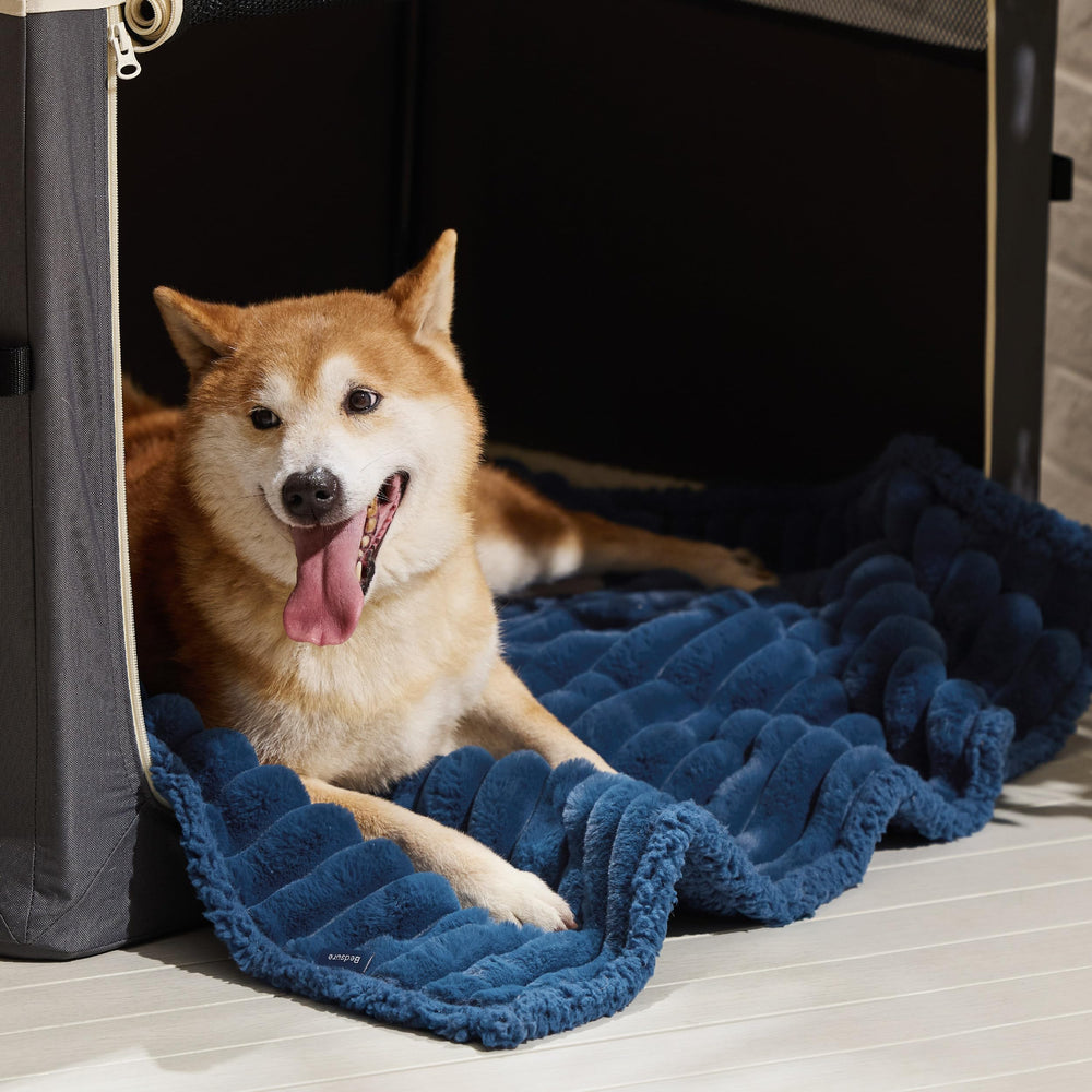Bedsure large-dog navy 40x50 blanket protecting furniture and providing warmth