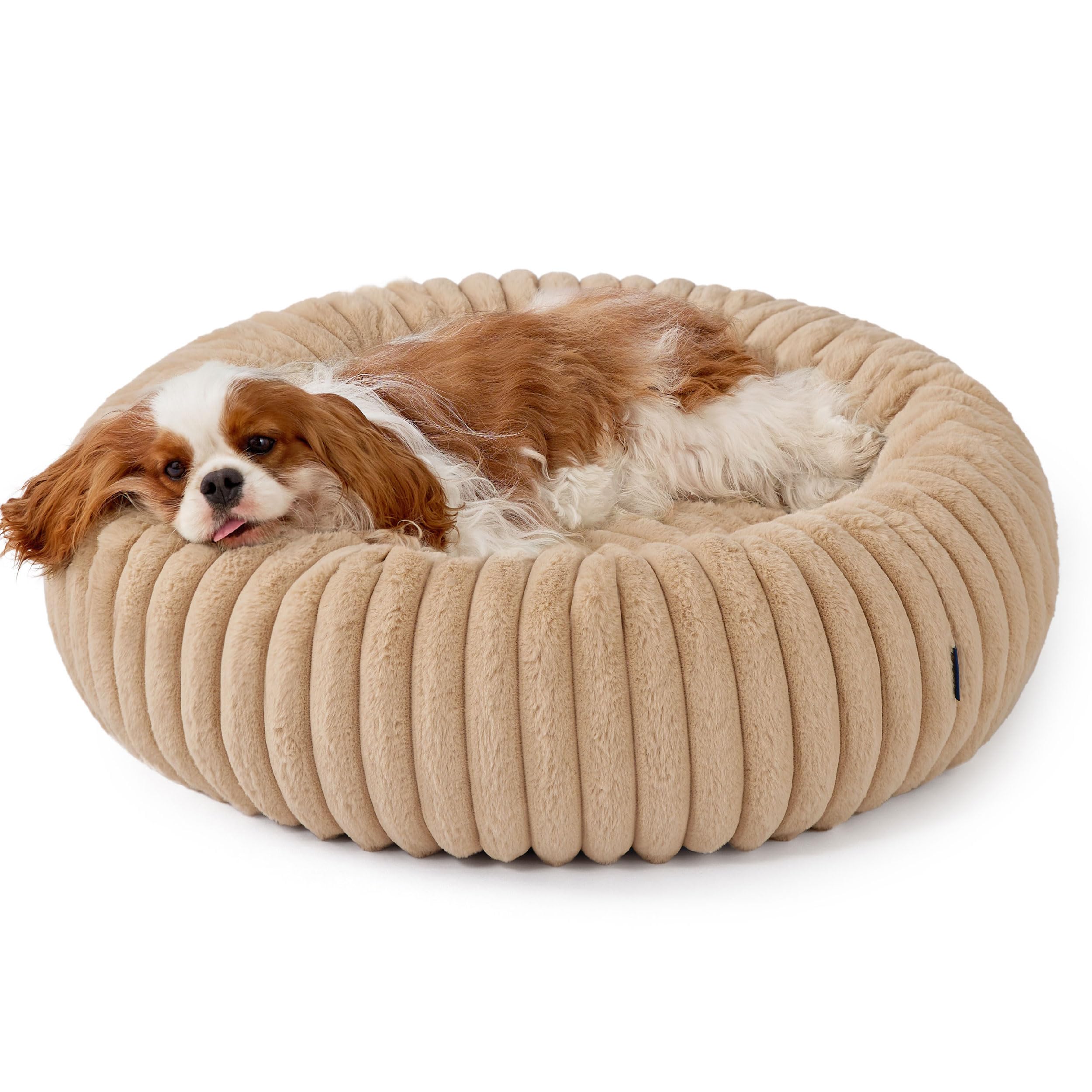 Bedsure medium dog bed fits a cozy corner for peaceful downtime.