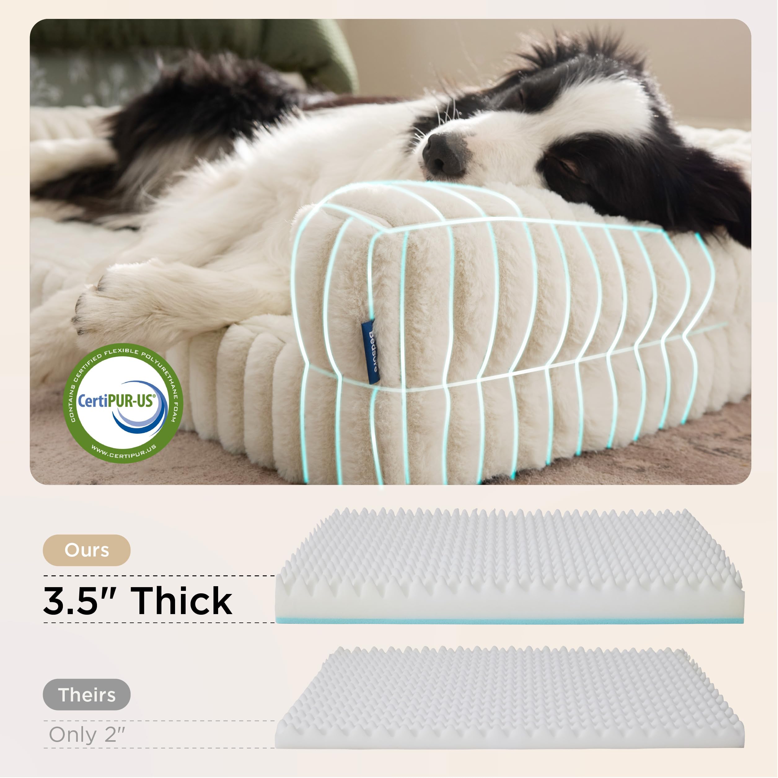 Bedsure orthopedic dog bed large cream memory foam layer—even weight distribution.