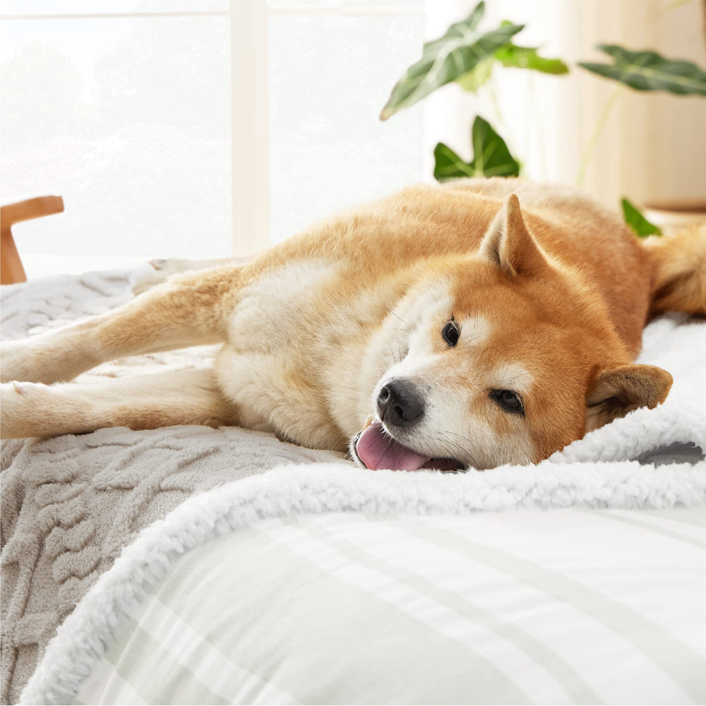 Bedsure multipurpose pet blanket ideal for indoor and outdoor use.