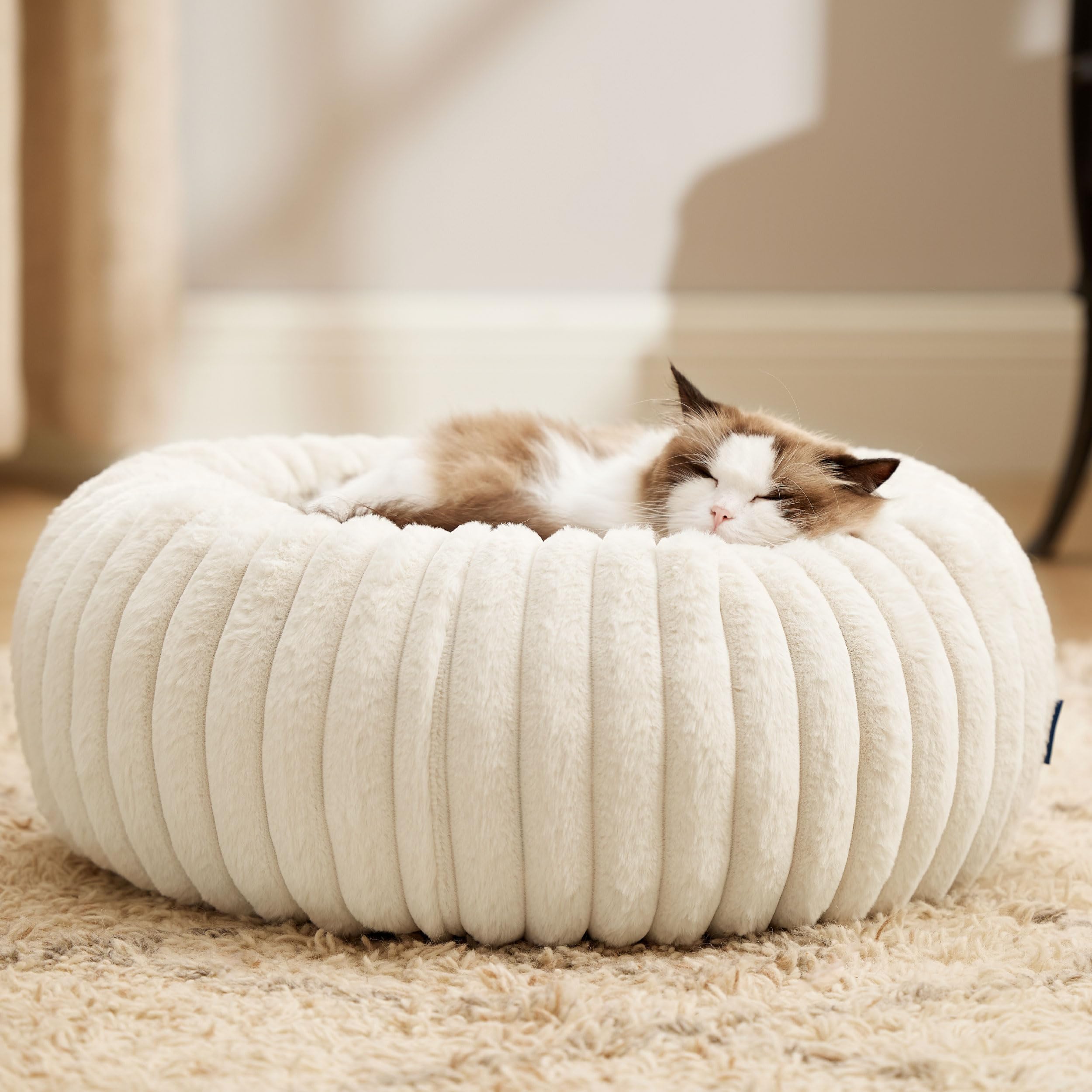 Bedsure small pet bed creates a snug nook for cats and small dogs.