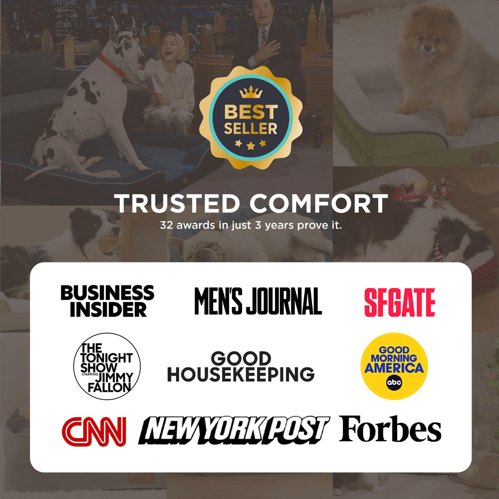 Bedsure orthopedic dog bed foam inside detail showing high-density support