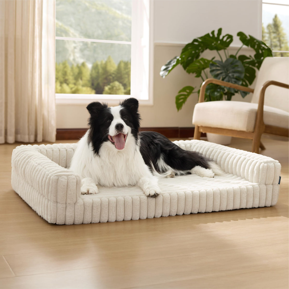 Bedsure orthopedic dog bed large cream front view—supports joints with memory foam.