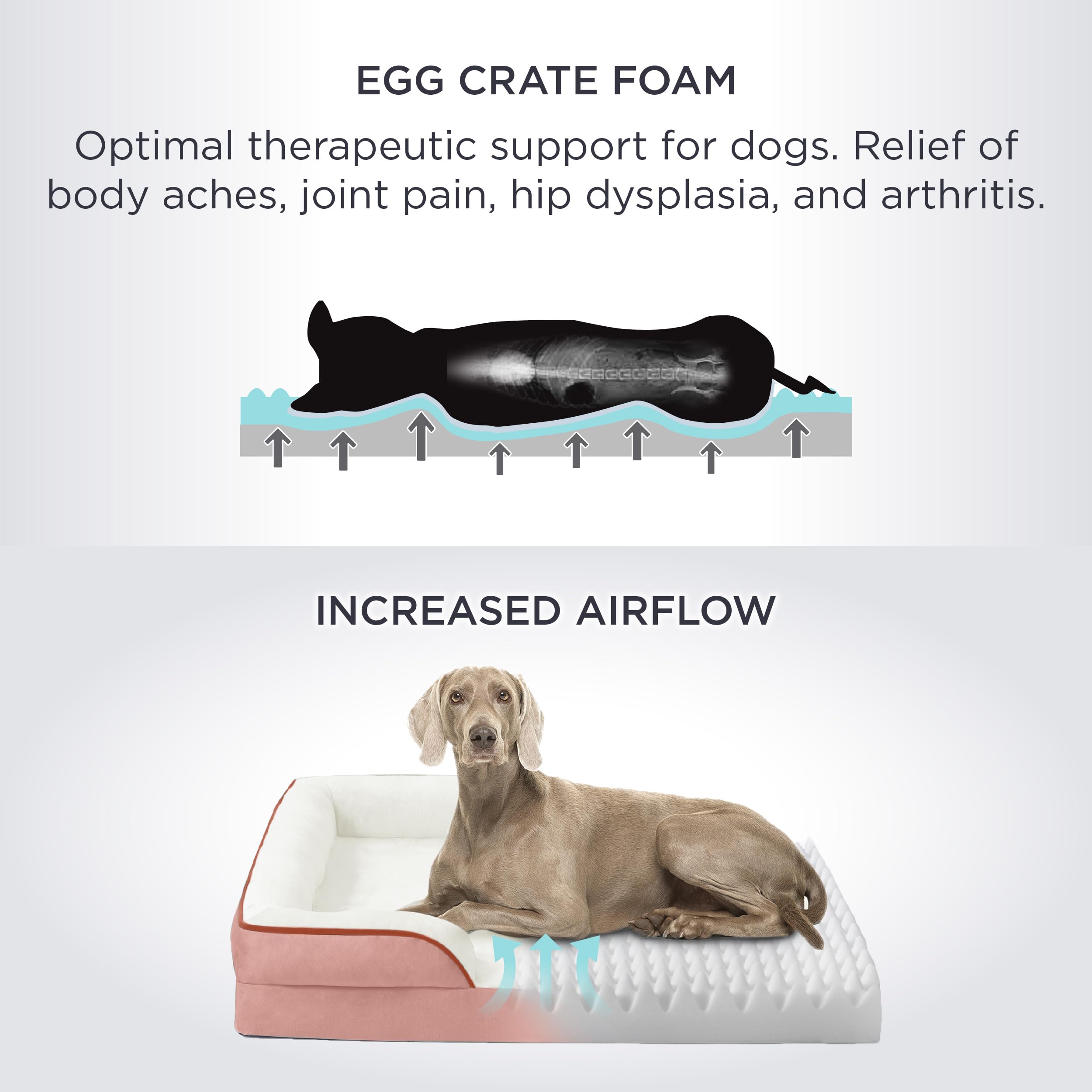 Bedsure orthopedic dog bed large pink bolster provides head and neck cushioning for restful lounging.