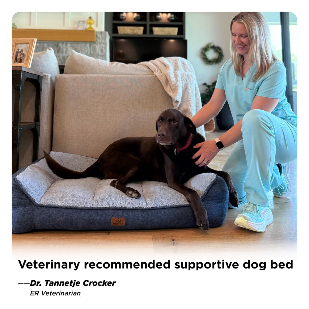 Bedsure lowered front entry design aids easy entry for aging dogs