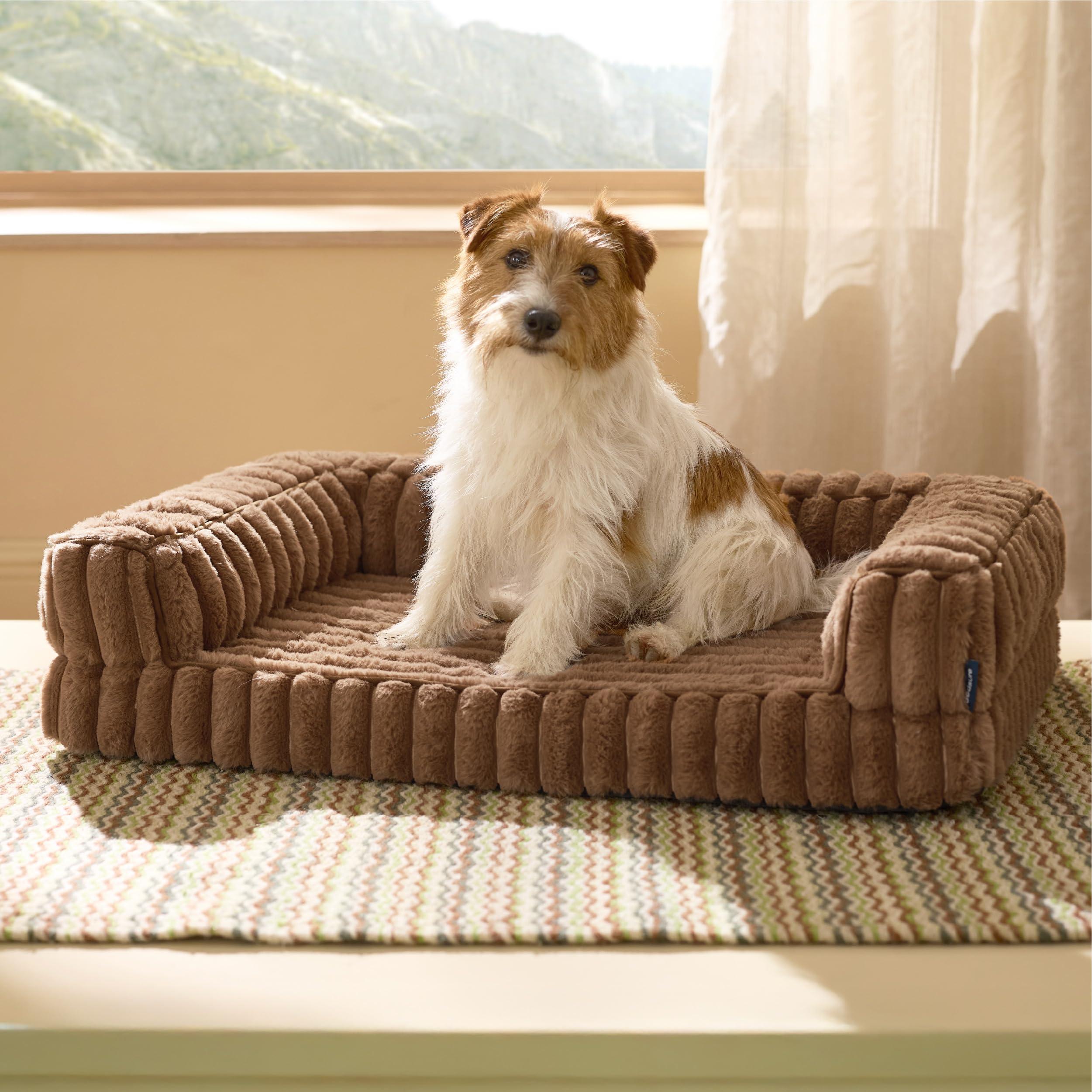 Bedsure Orthopedic Dog Bed overall offers joint-supporting comfort for medium dogs.