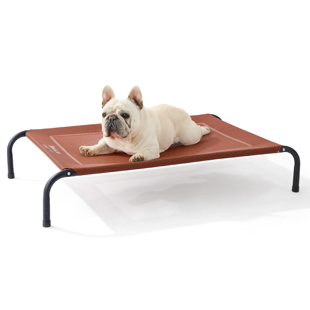 Bedsure outdoor elevated dog bed with terracotta frame and breathable mesh for year-round comfort.