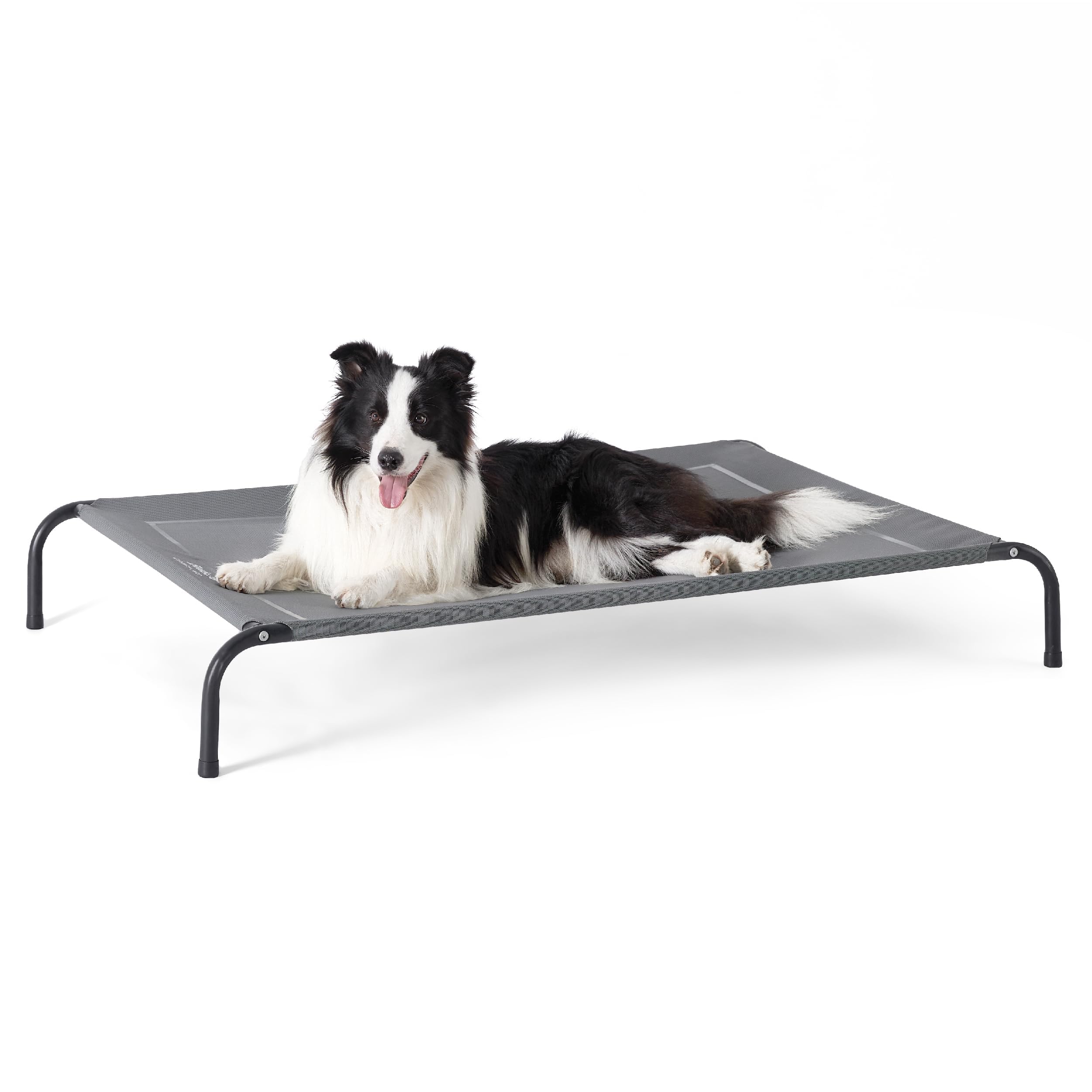 Bedsure outdoor elevated dog bed portable setup demonstrates easy travel and quick assembly.