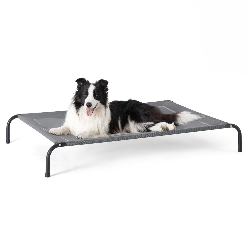Bedsure outdoor elevated dog bed portable setup demonstrates easy travel and quick assembly.