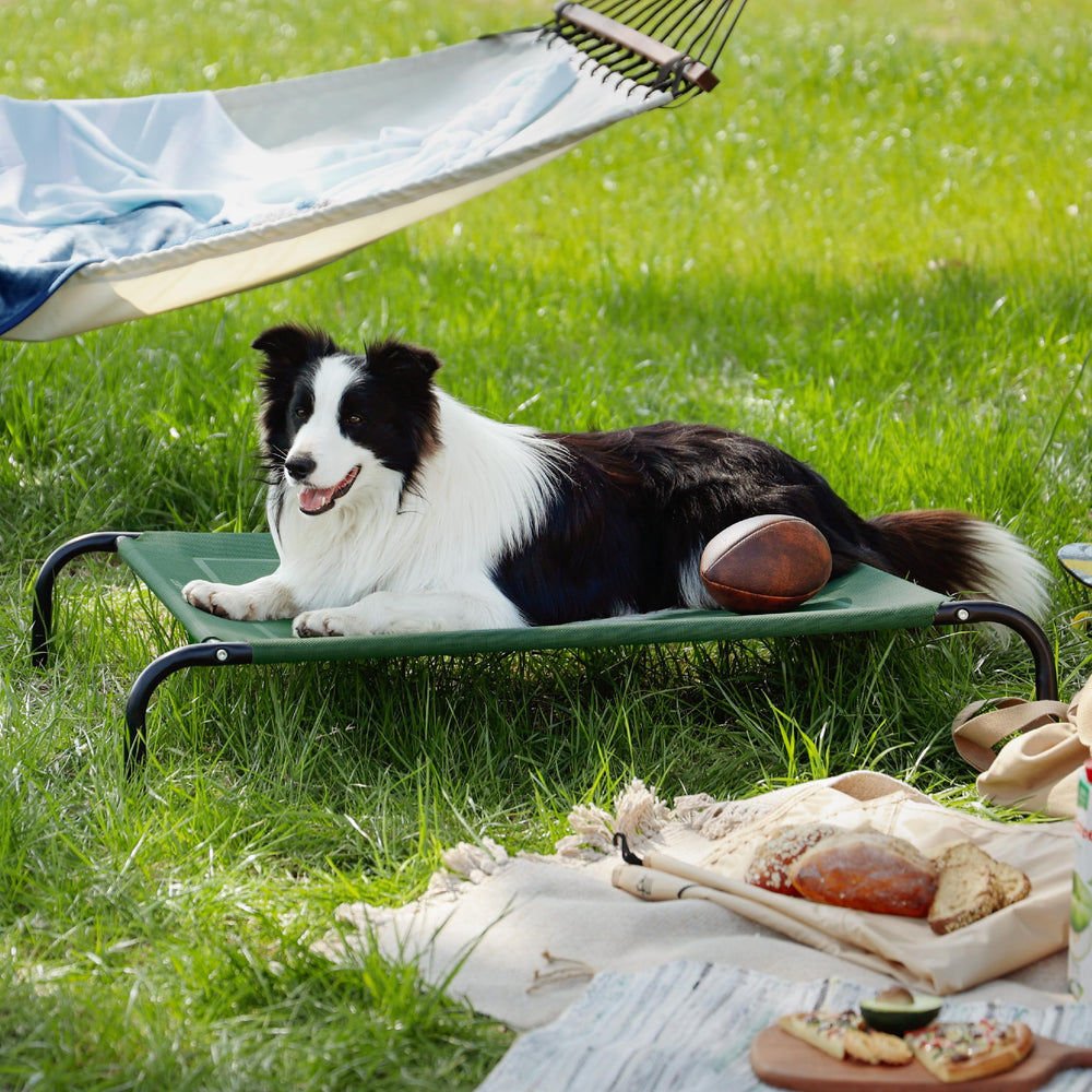 Bedsure outdoor elevated dog bed portable travel-ready design for camping and car trips.