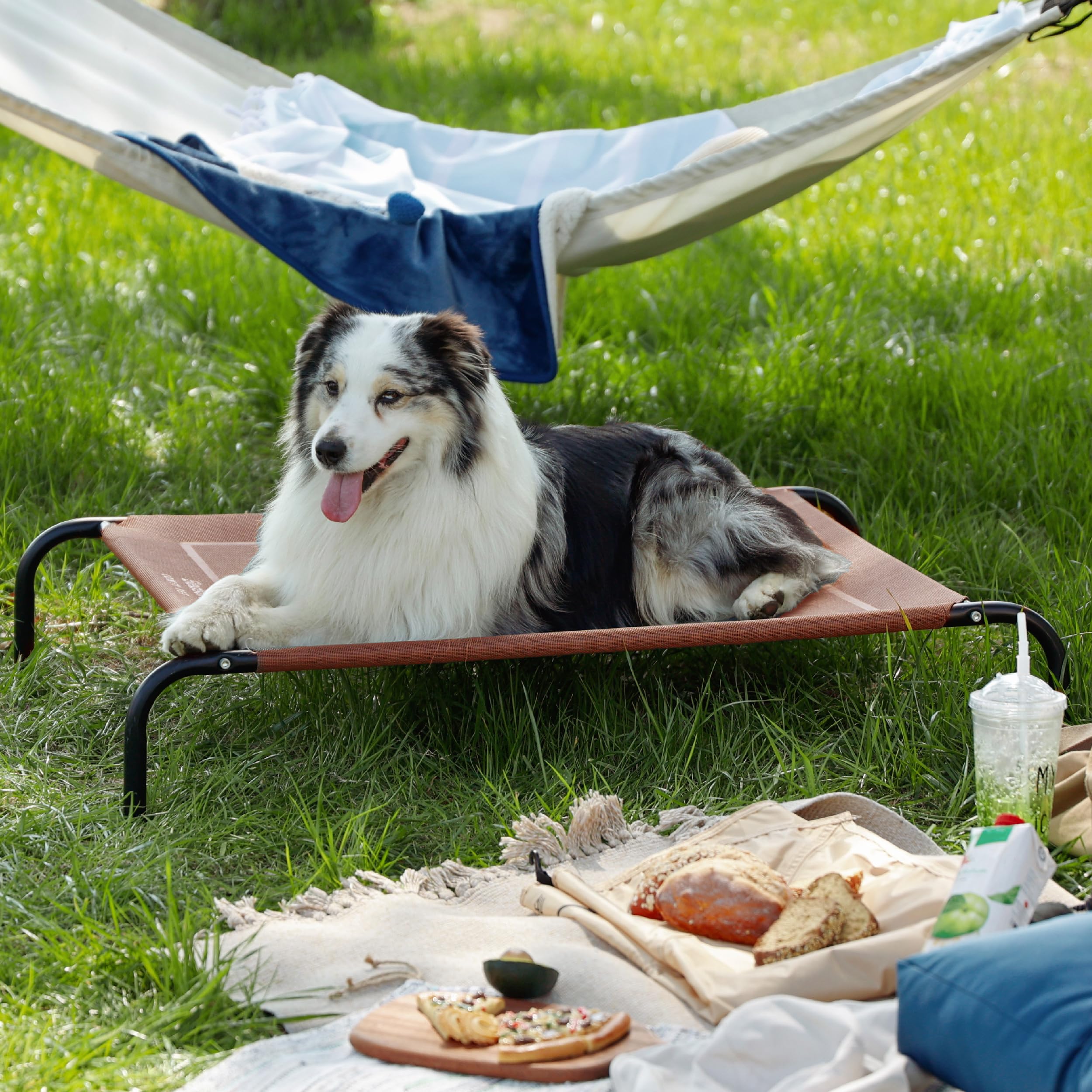 Bedsure Outdoor Elevated XL Dog Bed easy assembly demonstrates quick setup