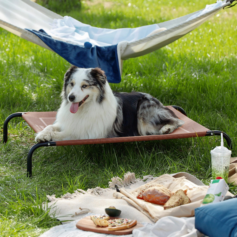 Bedsure Outdoor Elevated XL Dog Bed easy assembly demonstrates quick setup