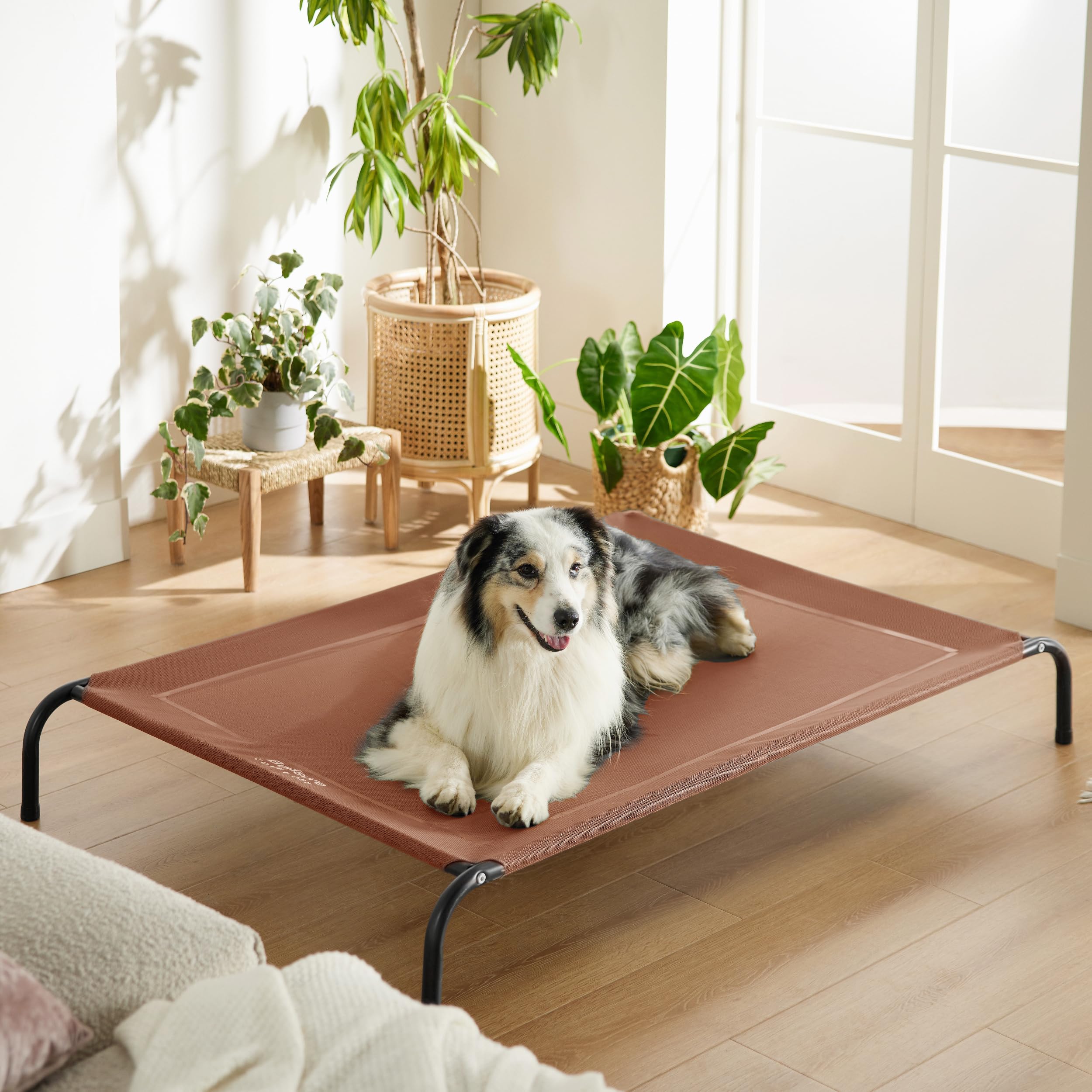 Bedsure Outdoor Elevated XL Dog Bed resting pup enjoying shade and cooling
