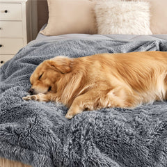 Bedsure couch protector blanket safeguards furniture from fur, spills, and scratches.