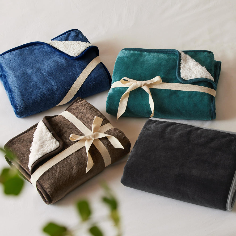 Bedsure pet blanket travel-friendly lightweight design for trips