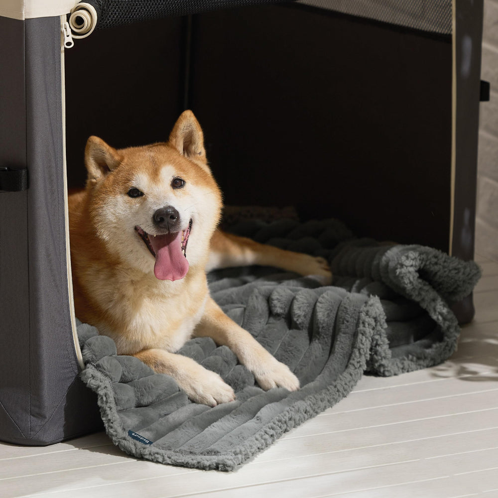 Bedsure portable dog blanket is travel-friendly for on-the-go use.