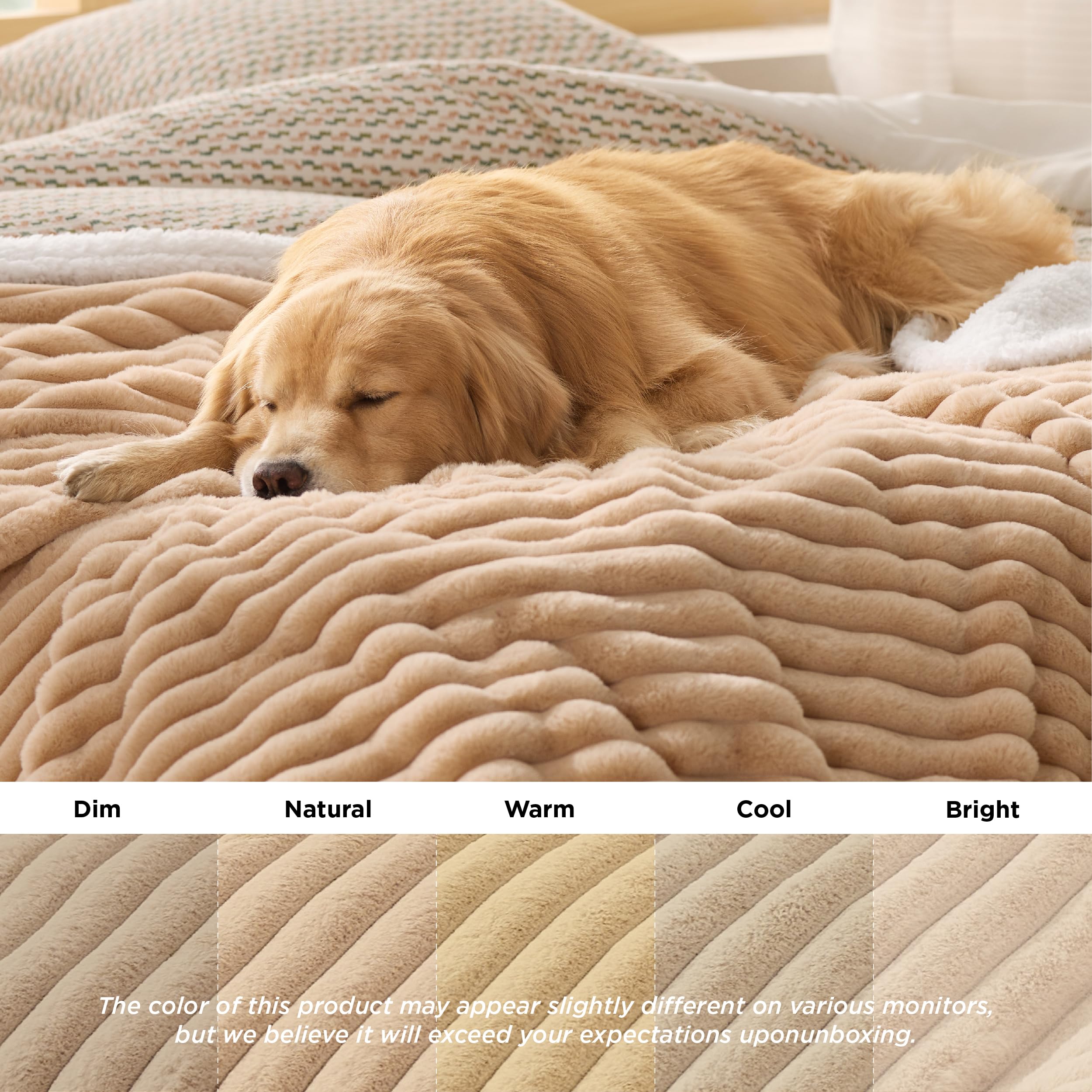 Bedsure portable pet blanket is ideal for car trips and travel.